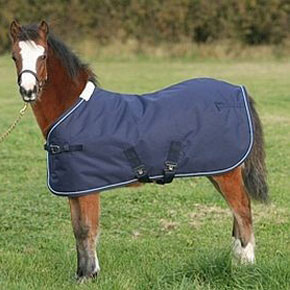 Mark Todd Foal Turnout Rugs                                                          